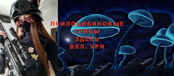 шишки Армянск