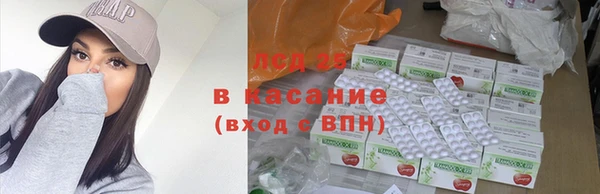 шишки Армянск