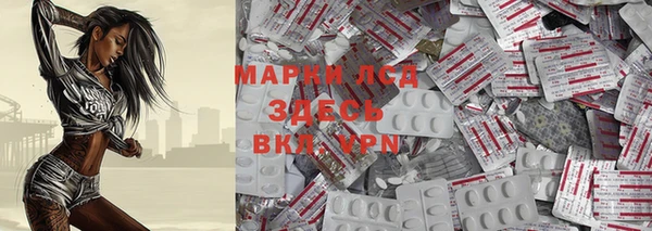 гидра Аркадак