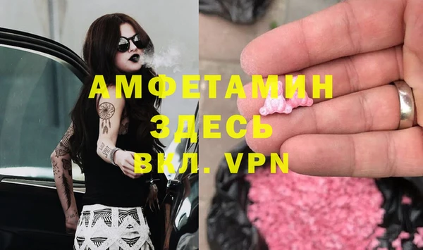 гидра Аркадак