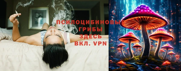 гидра Аркадак