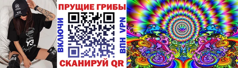 Псилоцибиновые грибы Psilocybe Дзержинск